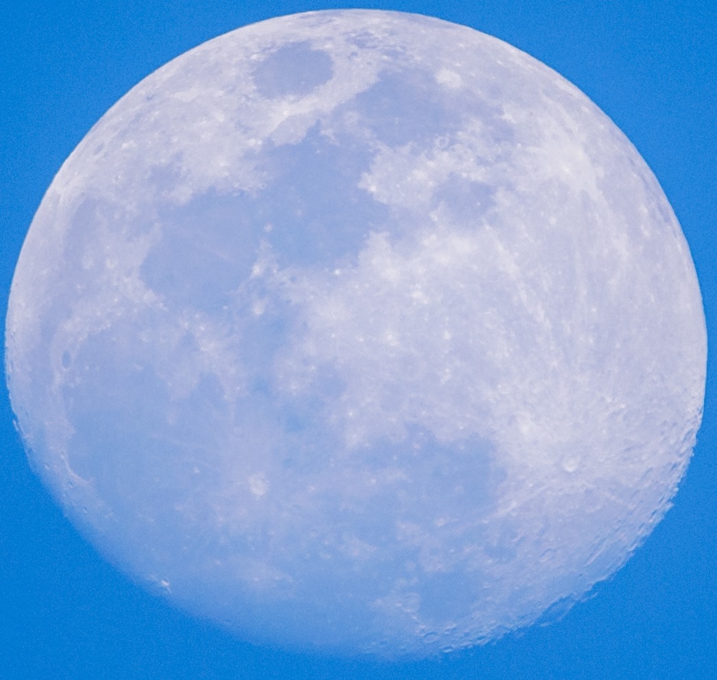 Moon Shot.jpg