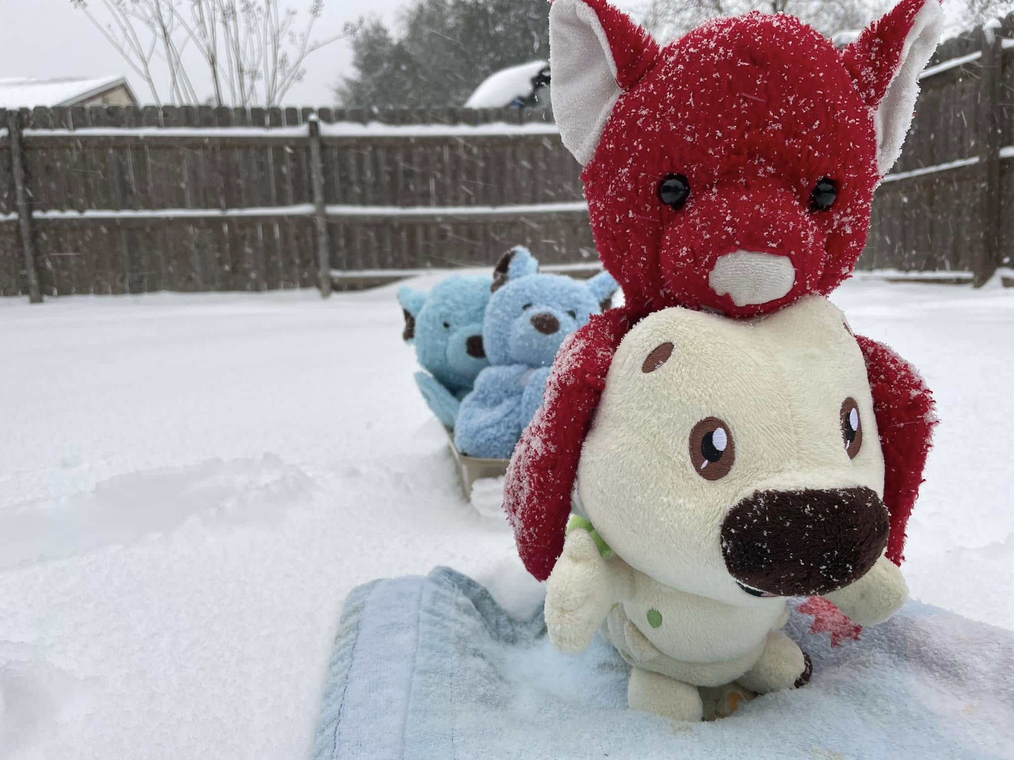 Sleigh-ride.jpg