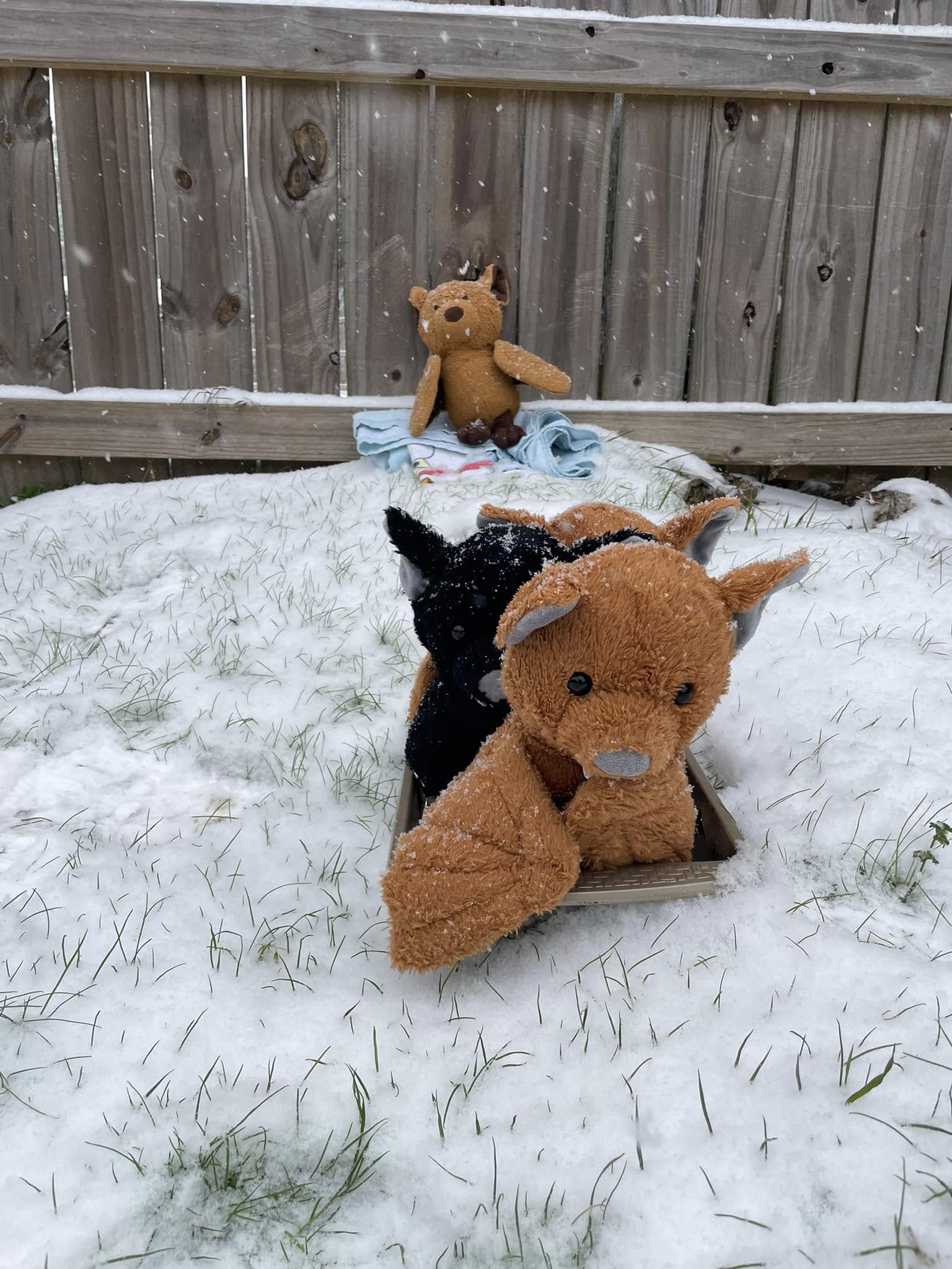 Sleigh-ride2.jpg