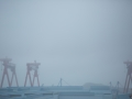 Hyundai Cranes.jpg