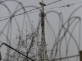 Jesus at the DMZ-1.jpg