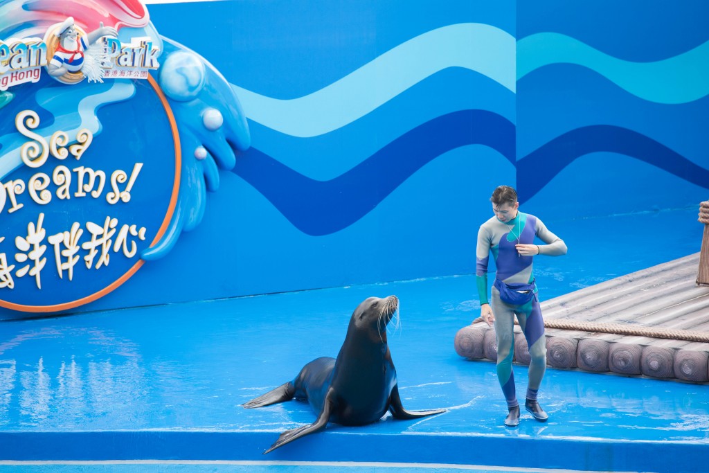 Sea Lion-1